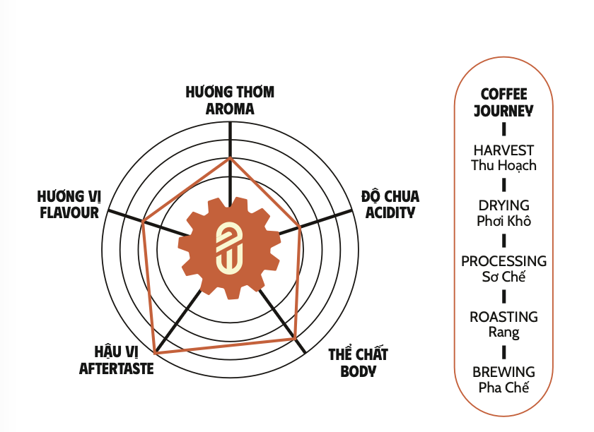 ROBUSTA HONEY - Sơ đồ hương vị